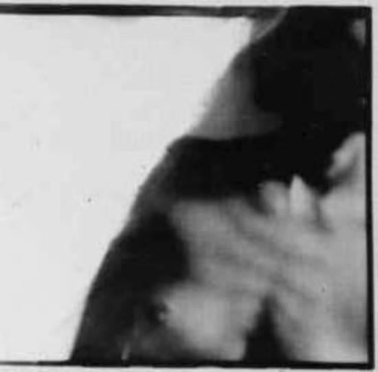 Duster 69 - Angel King