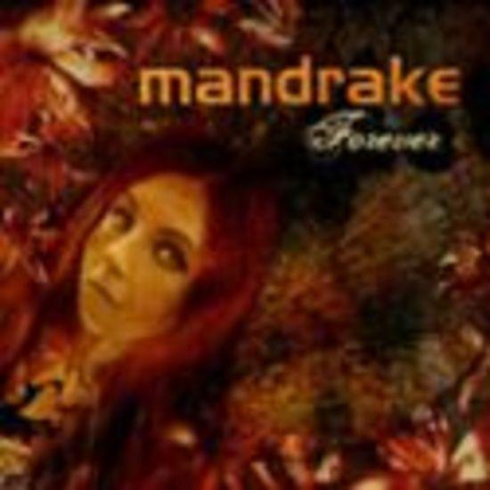 Mandrake - Forever
