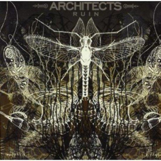 Architects - Ruin