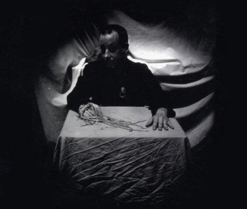 Paper Chase, The - What Big Teeth You Have