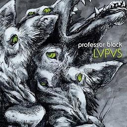 Professor Black - LVPVS