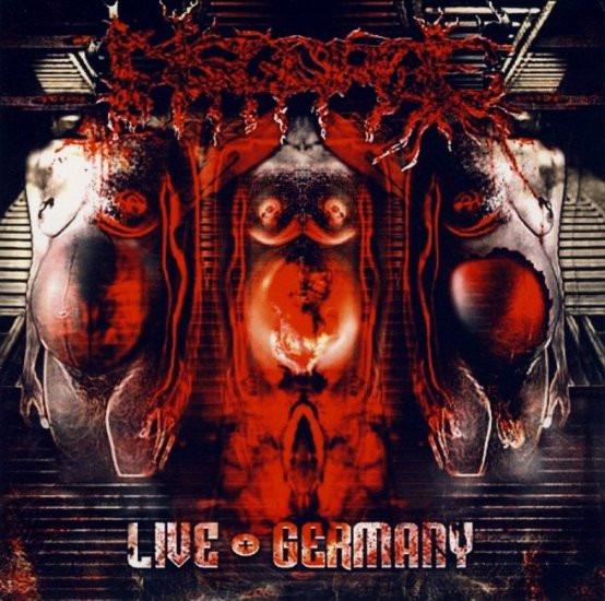Disgorge - Live Germany