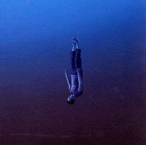 Todtgelichter - Angst