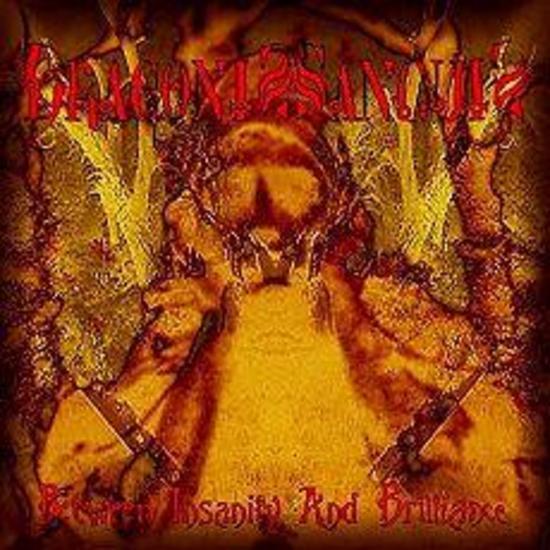 Draconis Sanguis - Between Insanity and Brilliance