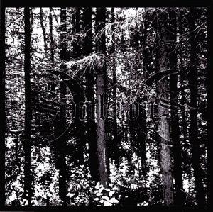 Sombrous - Transcending the Umbra