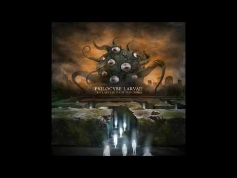 Psilocybe Larvae - The Labyrinth of Penumbra