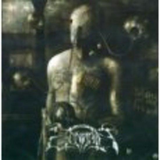 Zonaria - Infamy And The Breed