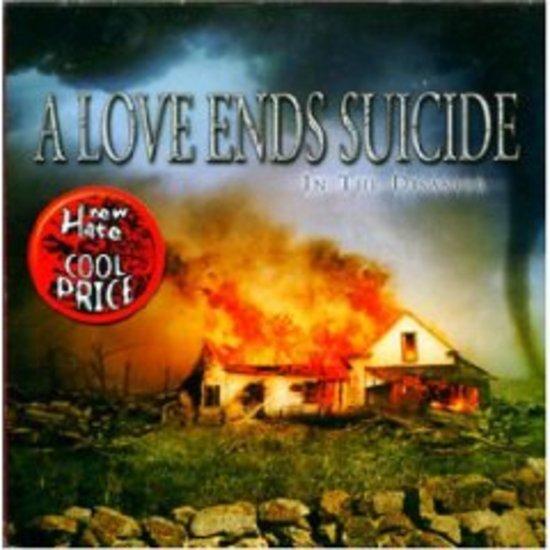 A Love Ends Suicide - In the Disaster