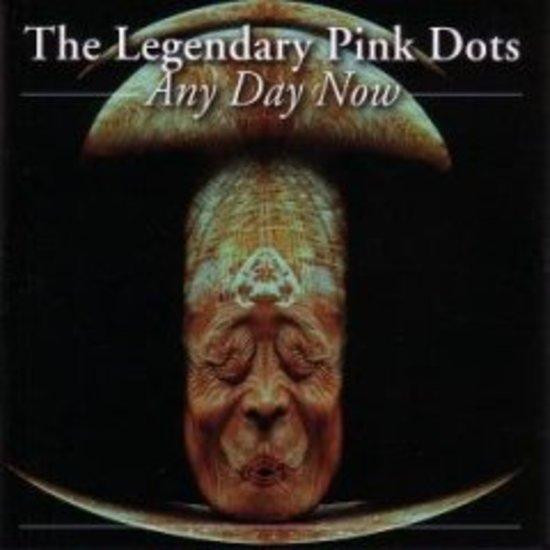Legendary Pink Dots, The - Any Day Now