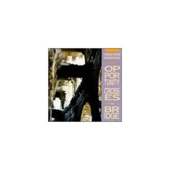 Forever Einstein - Opportunity Crosses the Bridge