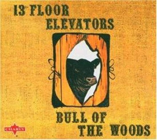 13th Floor Elevators - Bull of the Woods