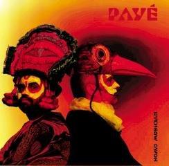 Paye - Homo Musician