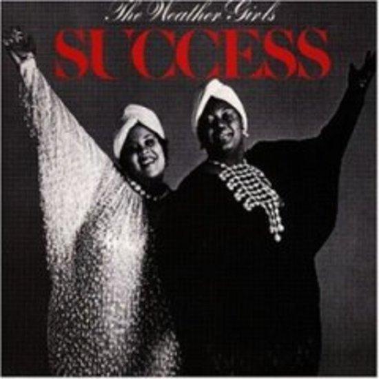 Weather Girls, the - Success