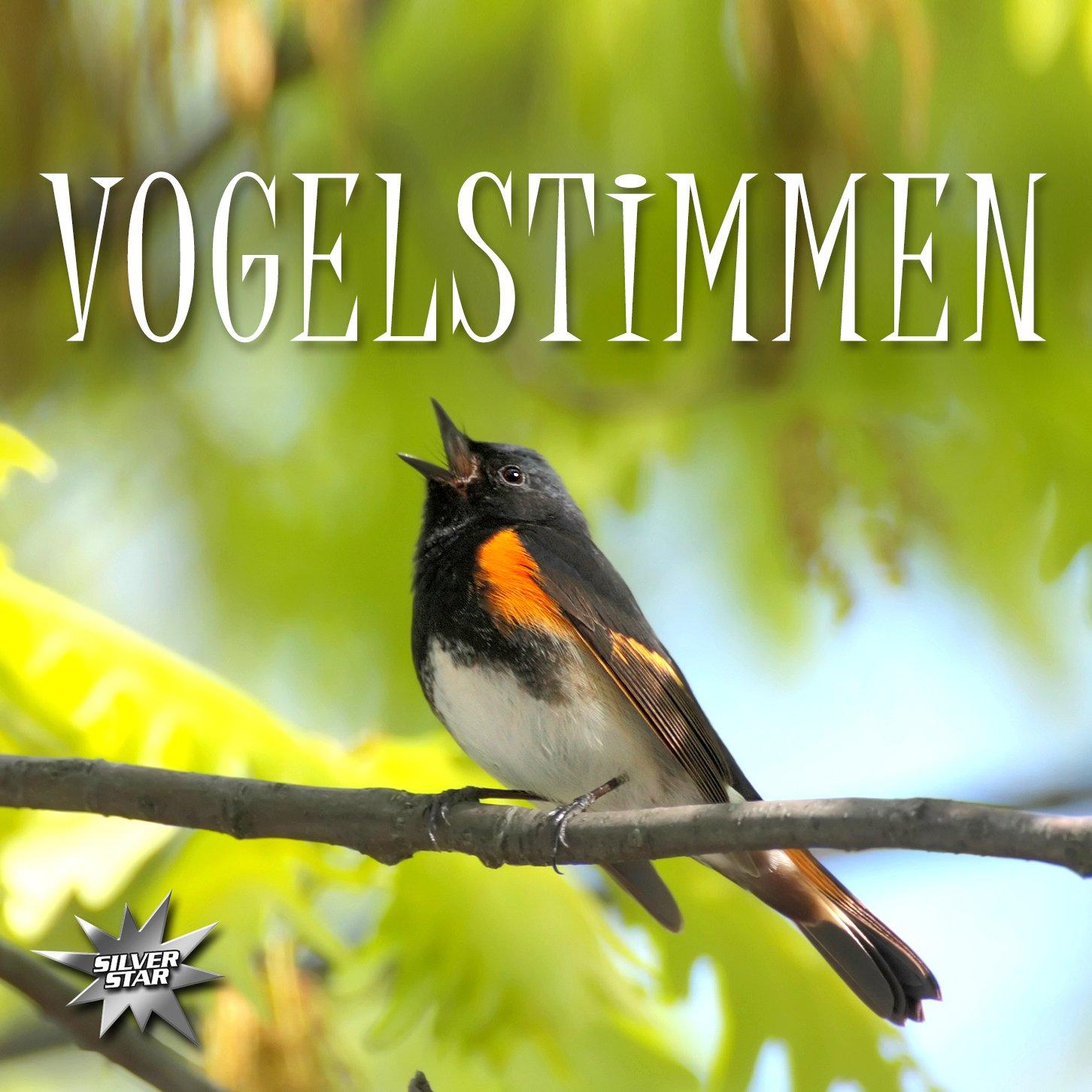 VA - Vogelstimmen