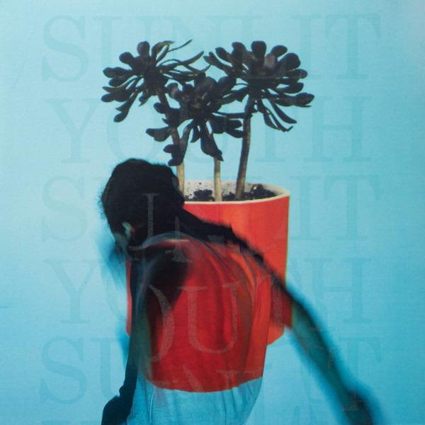 Local Natives - Sunlit Youth