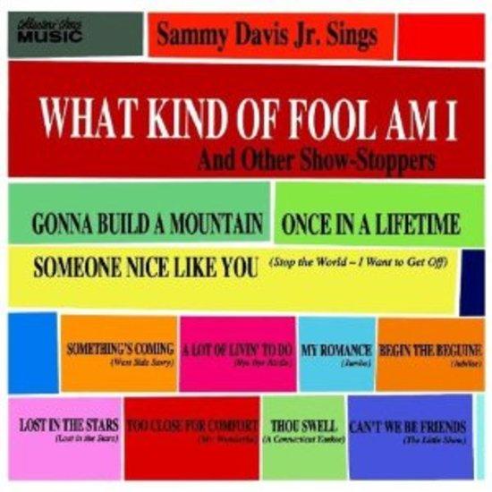 Davis Jr., Sammy - What Kind of Fool am I