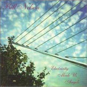 Nelson, Bill - Electricity Made Us Angels