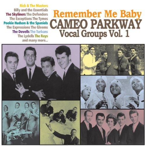 VA - Remember Me Baby - Cameo Parkway Vocal Groups Vol 1. SKYLINERS LYDELLS