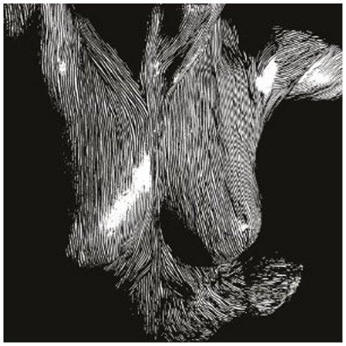 Oceansize - Self Preserved While The Bodiest Float Up BIFFY CLYRO