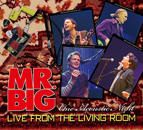 Mr. Big - Live from the Living Room BILLY SHEEHAN