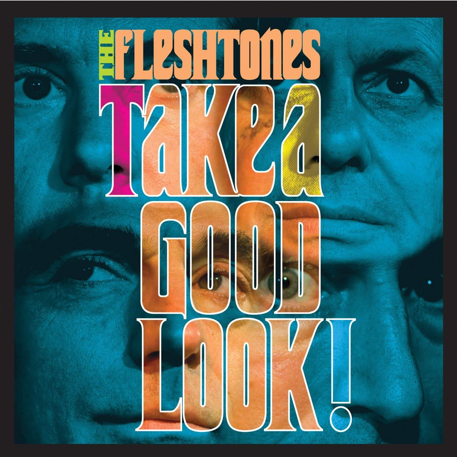 Fleshtones, the - Take A Good Look!