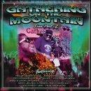 VA - Gathering On The Mountain Live 2 JORMA KAUKONEN