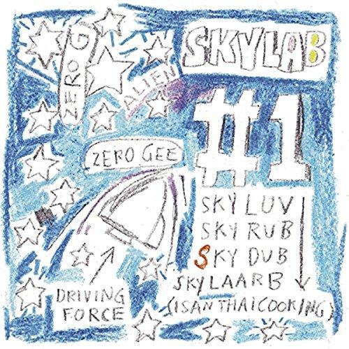 Skylab - same #1