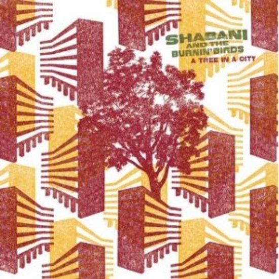 Shabani And The Burnin' Birds - A Tree In A City