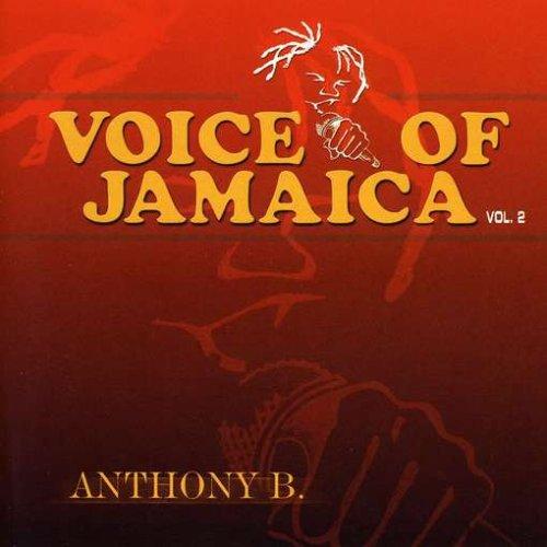 Anthony B. - Voice Of Jamaica Vol. 2