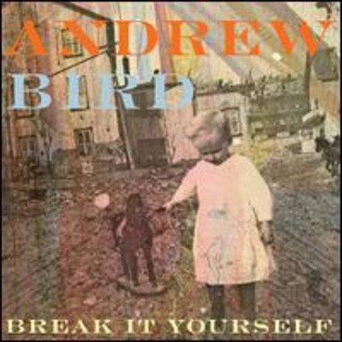 Bird, Andrew - Break It Yourself