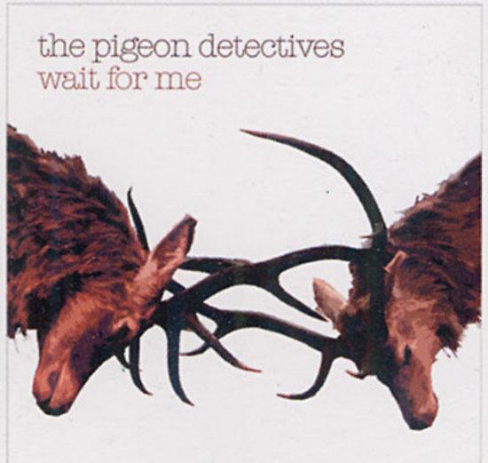 Pigeon Detectives, the - Wait For Me