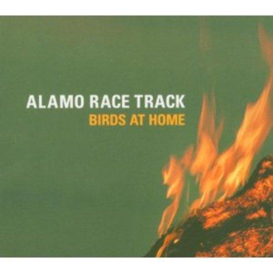 Alamo Race Track - Birds at Home