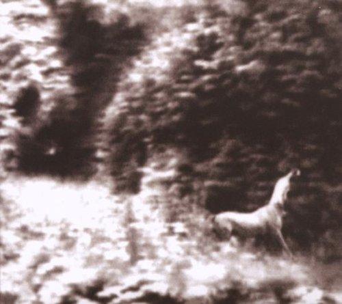 Syd Matters - Ghost Days + BONUS VIDEO