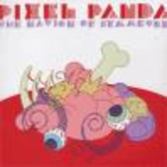 Pixel Panda - The Nation of Symmetry