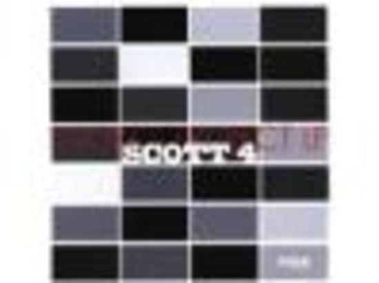 Scott 4 - Works Project LP