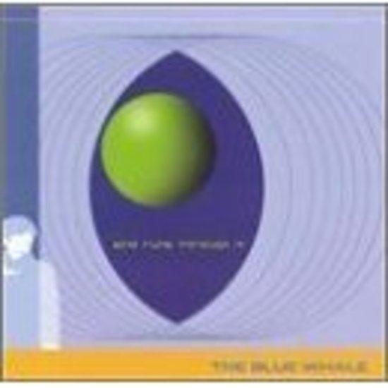 Blue Whale - Wind Runs Through It (Shimmy)