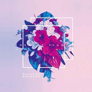 Blackbird Blackbird - The Boracay Plant Ep DISTAL GRENIER