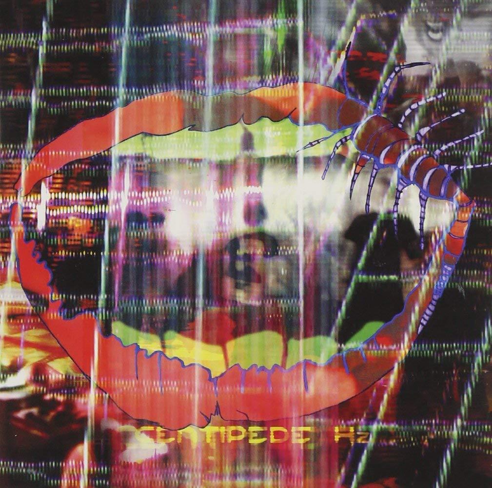 Animal Collective - Centipede Hz BRAIN PORTNER
