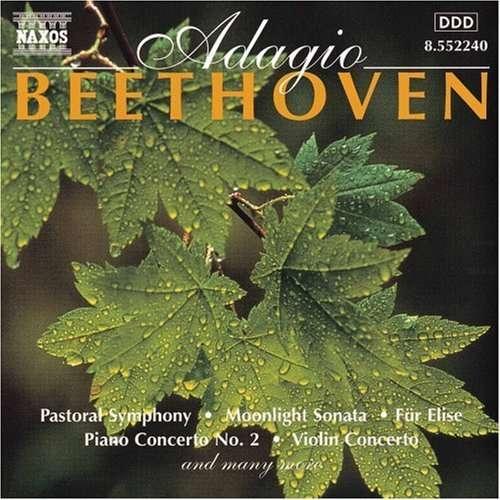 Ludwig van Beethoven - Adagio Beethoven