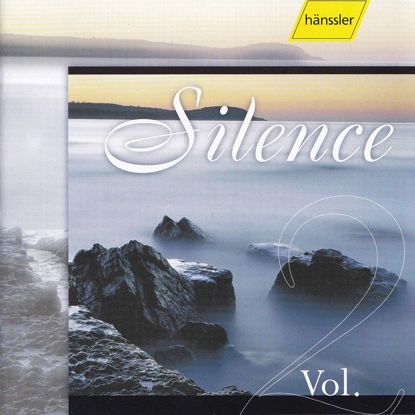 VA - Silence Vol.2