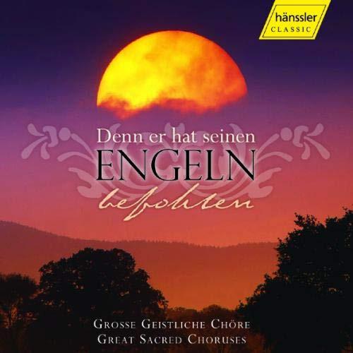 VA - Denn er hat seinen Engeln befohlen