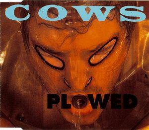 Cows - Plowed / In the Mouth