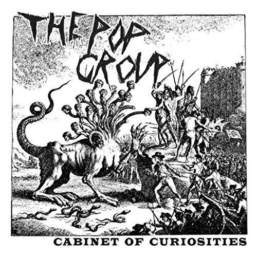 Pop Group, the - Cabinet Of Curiosities SLITS PIL GLAXO BABIES