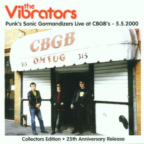 Vibrators, the - Live at CBGB's 5.5.2000