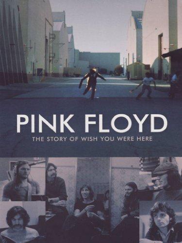 Pink Floyd + BONUS FEATURE - Story Of Wish You Were Here, The